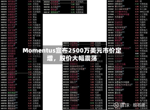 Momentus宣布2500万美元市价定增，股价大幅震荡