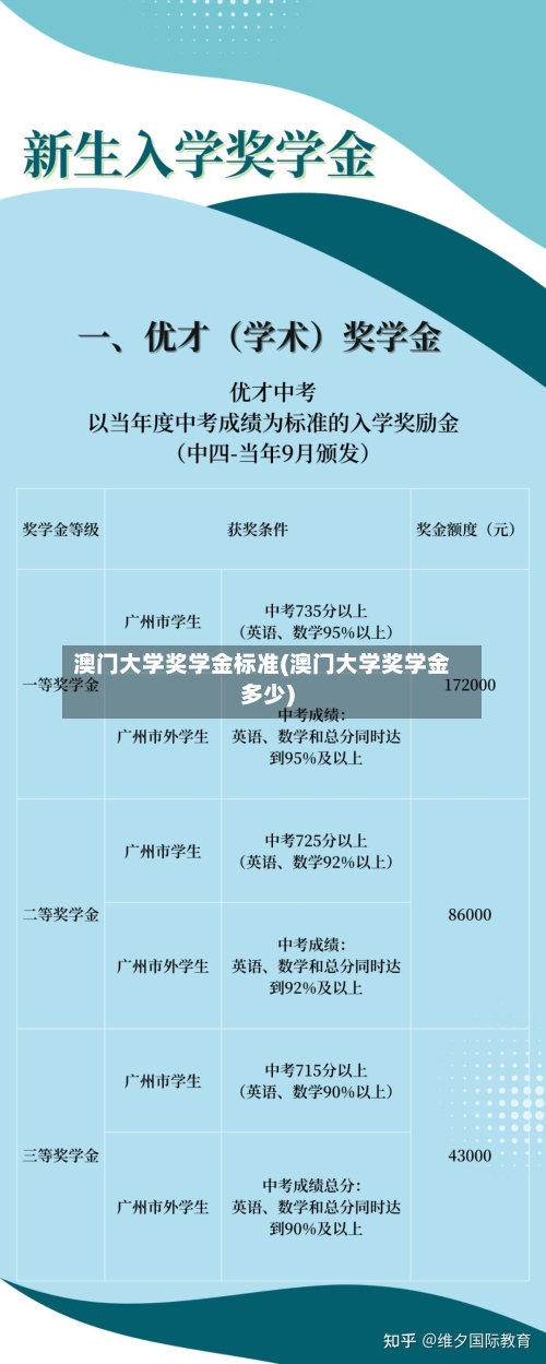 澳门大学奖学金标准(澳门大学奖学金多少)-第2张图片