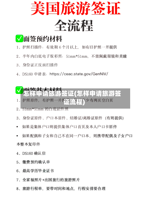 怎样申请旅游签证(怎样申请旅游签证流程)-第2张图片