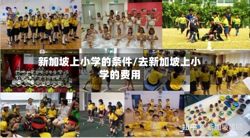 新加坡上小学的条件/去新加坡上小学的费用-第3张图片
