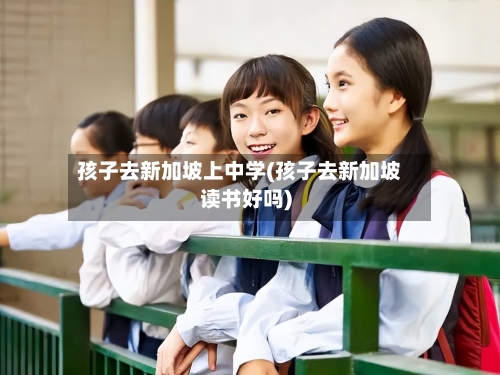 孩子去新加坡上中学(孩子去新加坡读书好吗)-第3张图片