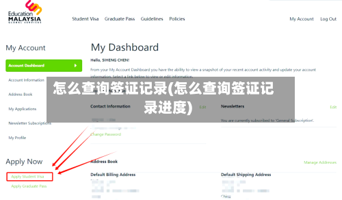 怎么查询签证记录(怎么查询签证记录进度)