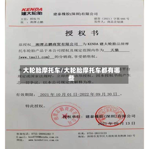 大轮胎摩托车/大轮胎摩托车都有哪些