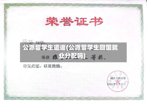 公派留学生遣返(公派留学生回国就业分配吗)