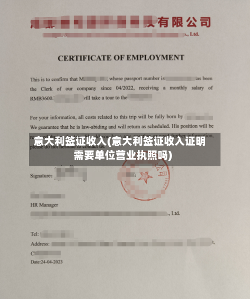 意大利签证收入(意大利签证收入证明需要单位营业执照吗)-第2张图片