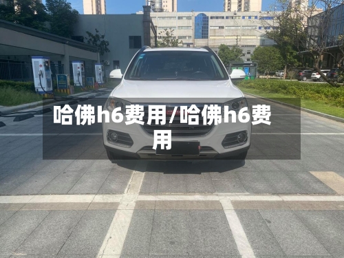 哈佛h6费用/哈佛h6费用-第3张图片