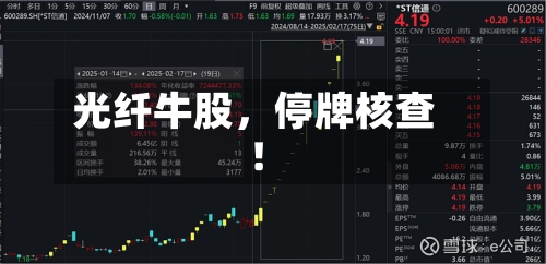 光纤牛股，停牌核查！