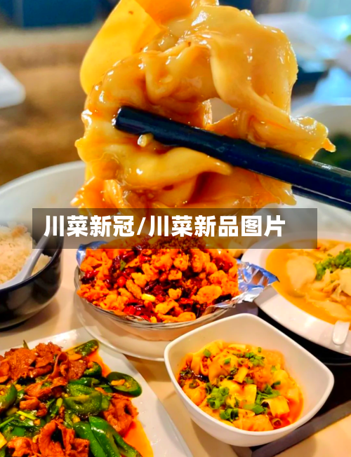川菜新冠/川菜新品图片-第3张图片