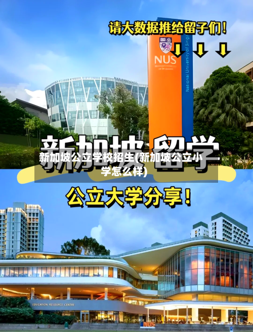 新加坡公立学校招生(新加坡公立小学怎么样)-第3张图片