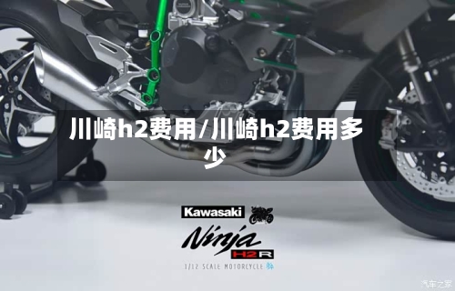 川崎h2费用/川崎h2费用多少