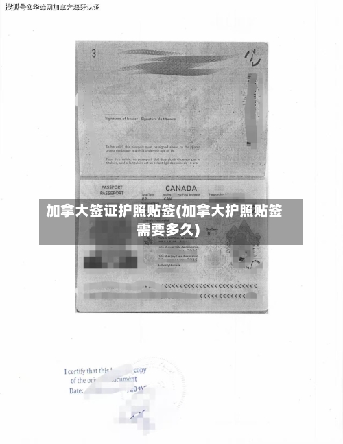加拿大签证护照贴签(加拿大护照贴签需要多久)-第3张图片