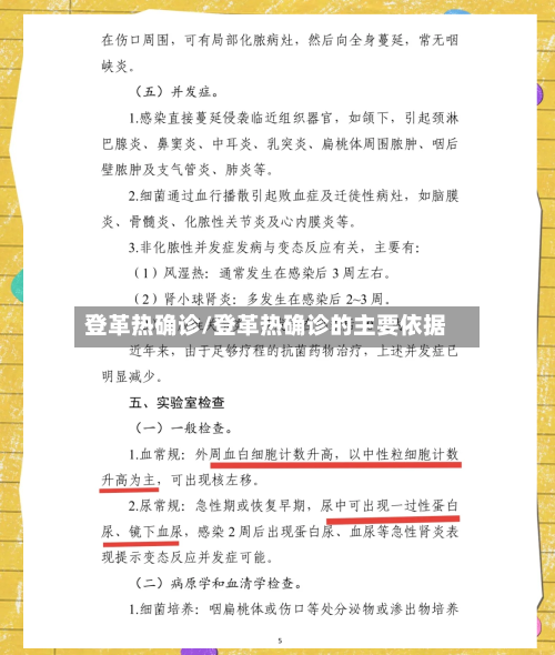登革热确诊/登革热确诊的主要依据