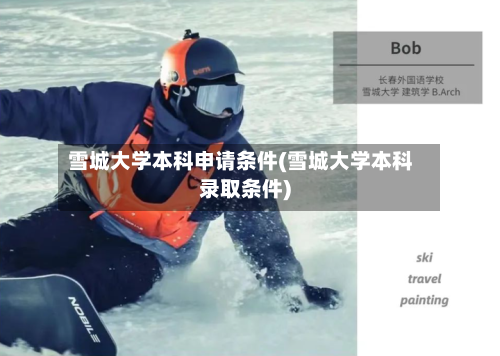 雪城大学本科申请条件(雪城大学本科录取条件)