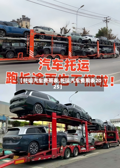 【托运汽车费用表,托运汽车费用表2025】-第3张图片