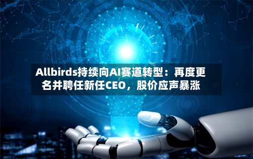 Allbirds持续向AI赛道转型：再度更名并聘任新任CEO，股价应声暴涨-第2张图片