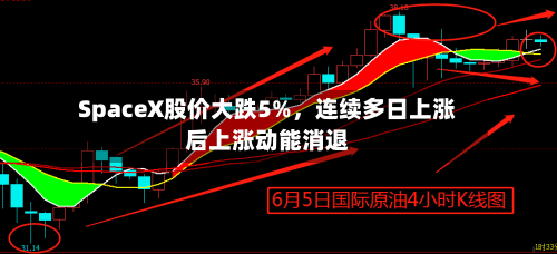 SpaceX股价大跌5%	，连续多日上涨后上涨动能消退-第3张图片