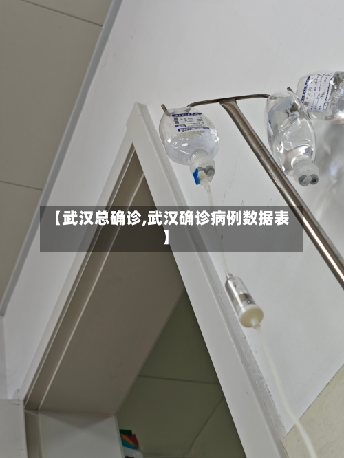 【武汉总确诊,武汉确诊病例数据表】