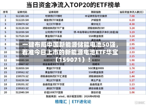 一键布局中国新能源储能电池50强，看准今日上市的新能源电池ETF华宝（159071）！-第2张图片
