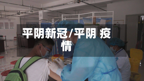 平阴新冠/平阴 疫情-第2张图片
