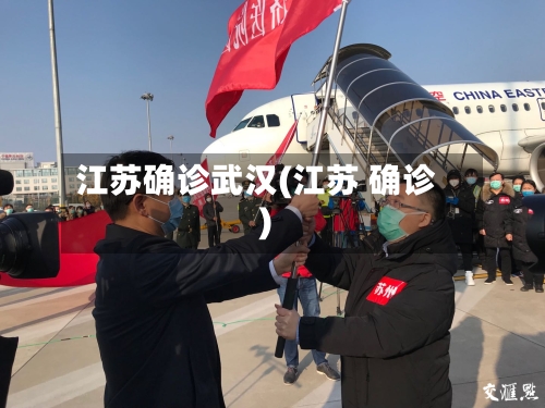 江苏确诊武汉(江苏 确诊)-第2张图片