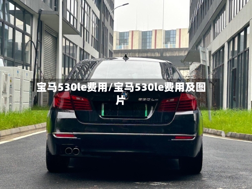 宝马530le费用/宝马530le费用及图片-第2张图片