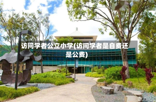 访问学者公立小学(访问学者是自费还是公费)
