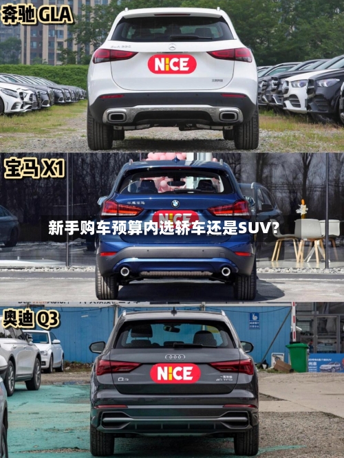 新手购车预算内选轿车还是SUV?-第3张图片