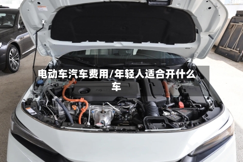 电动车汽车费用/年轻人适合开什么车
