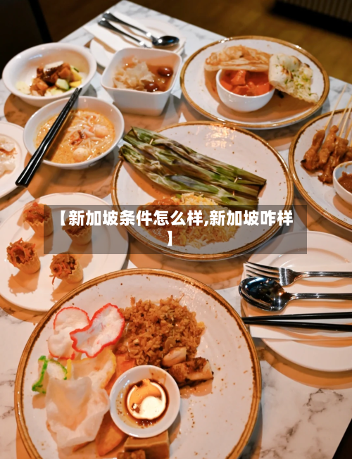 【新加坡条件怎么样,新加坡咋样】