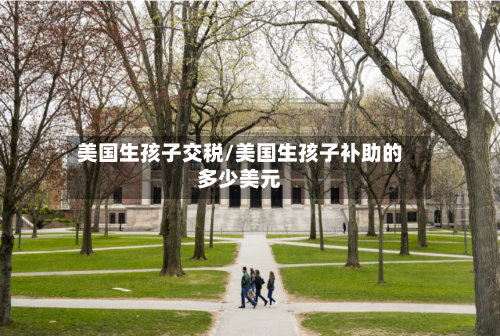 美国生孩子交税/美国生孩子补助的多少美元-第2张图片