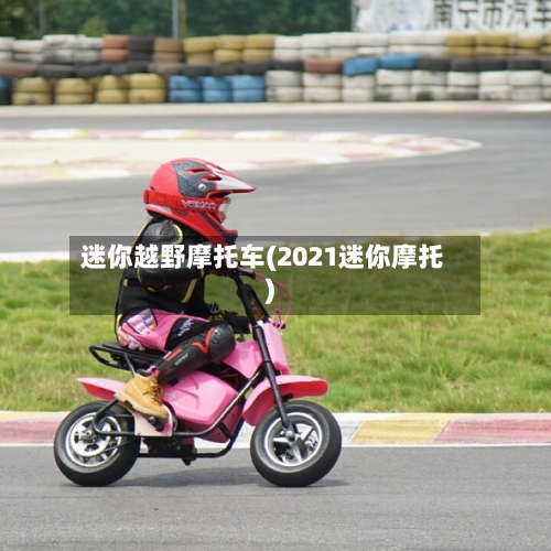 迷你越野摩托车(2021迷你摩托)-第2张图片