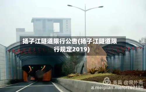 扬子江隧道限行公告(扬子江隧道限行规定2019)