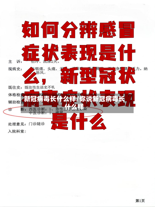 新冠病毒长什么样/你说新冠病毒长什么样