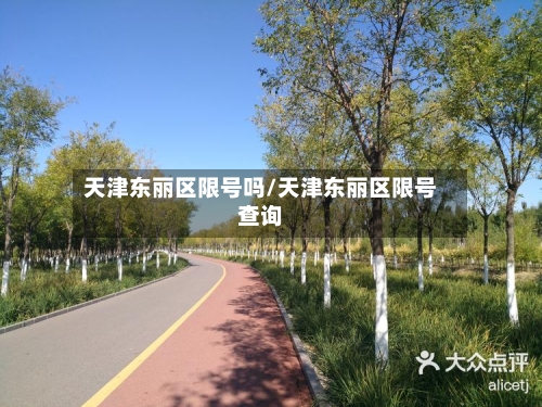 天津东丽区限号吗/天津东丽区限号查询-第2张图片