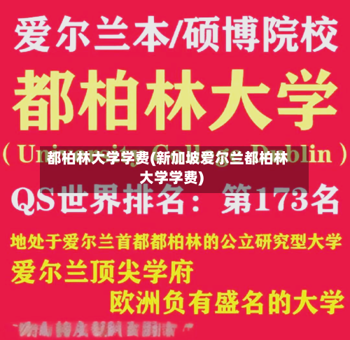 都柏林大学学费(新加坡爱尔兰都柏林大学学费)