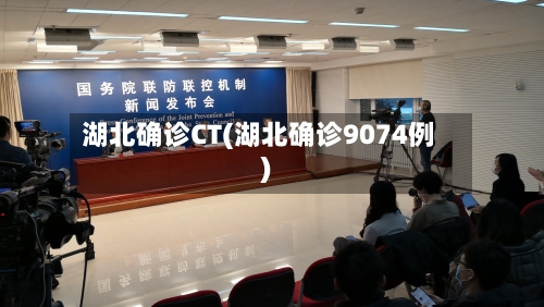 湖北确诊CT(湖北确诊9074例)