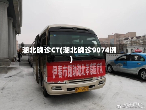 湖北确诊CT(湖北确诊9074例)-第2张图片