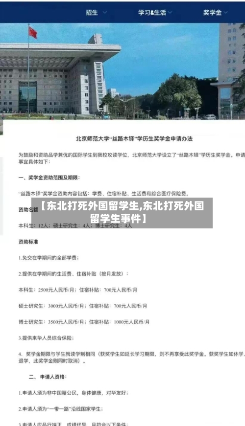 【东北打死外国留学生,东北打死外国留学生事件】