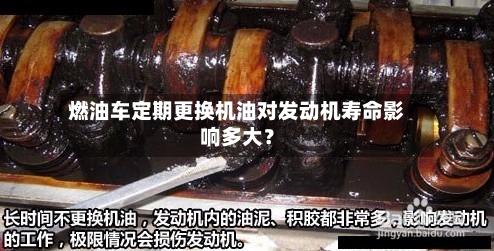 燃油车定期更换机油对发动机寿命影响多大?-第2张图片