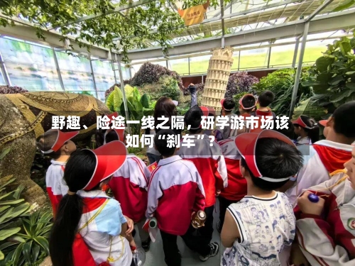 野趣	、险途一线之隔，研学游市场该如何“刹车”？-第2张图片
