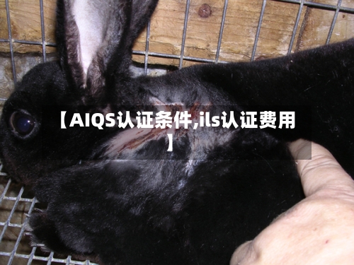 【AIQS认证条件,ils认证费用】-第2张图片