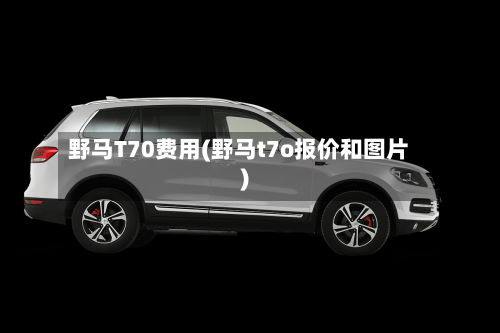 野马T70费用(野马t7o报价和图片)