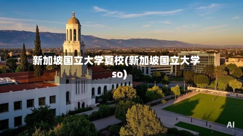 新加坡国立大学夏校(新加坡国立大学so)