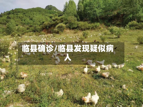 临县确诊/临县发现疑似病人
