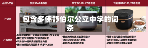 包含多佛舒伯尔公立中学的词条