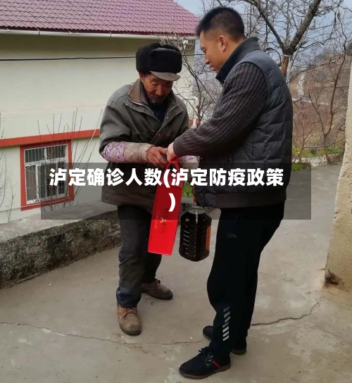 泸定确诊人数(泸定防疫政策)