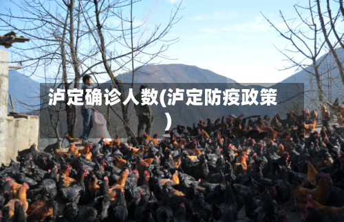 泸定确诊人数(泸定防疫政策)-第2张图片
