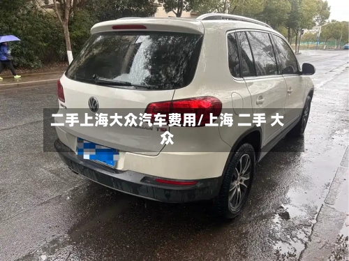 二手上海大众汽车费用/上海 二手 大众