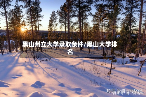 黑山州立大学录取条件/黑山大学排名-第2张图片