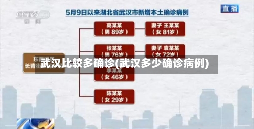 武汉比较多确诊(武汉多少确诊病例)